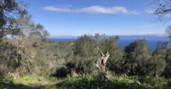 Land For Sale Antipaxos, Paxos Land For Sale Antipaxos, Paxos