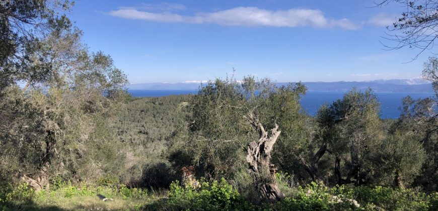Land For Sale Antipaxos, Paxos