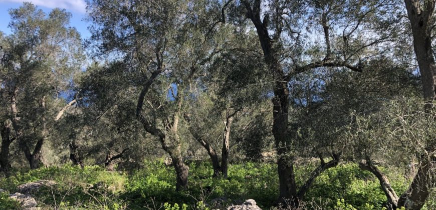 Land For Sale Antipaxos, Paxos