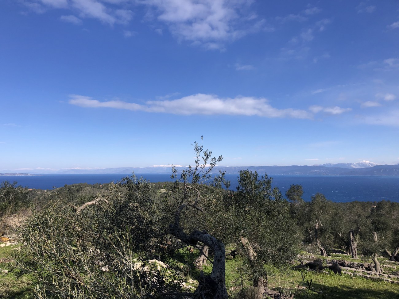 img 5949 roula rouva corfu real estate