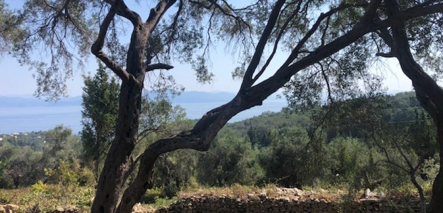 Land For Sale Antipaxos, Paxos