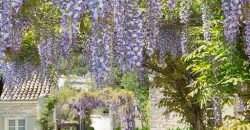 4 Bedroom House Rou Corfu