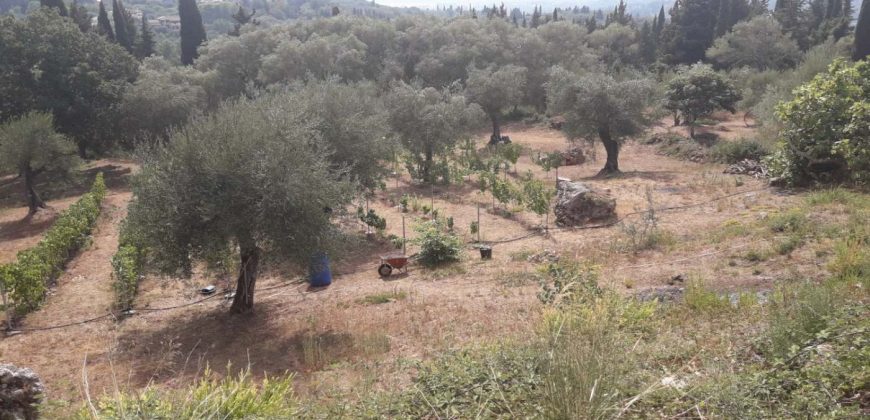 Kato Korakiana Villa Central Corfu