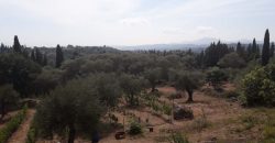 Kato Korakiana Villa Central Corfu