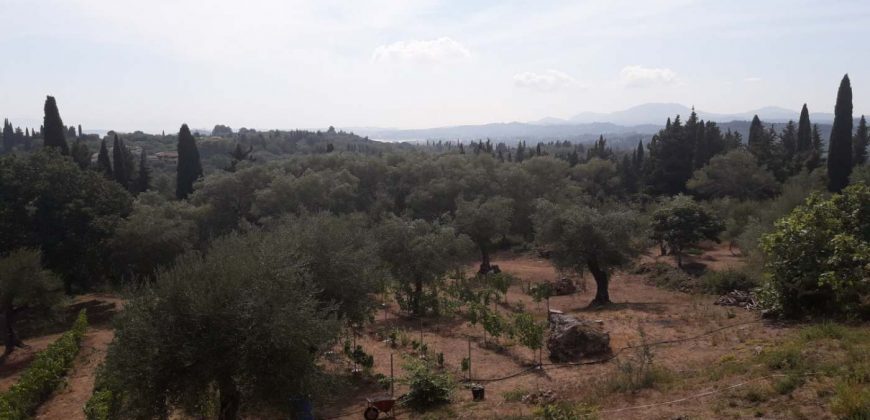 Kato Korakiana Villa Central Corfu