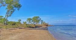 4 Bedroom Villa Lefkimmi South Corfu